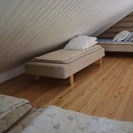 Levihaukka 10 *