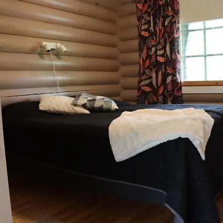 Levihaukka 10 레비