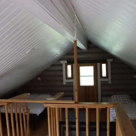 Levihaukka 10 레비