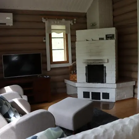 Levihaukka 10 木屋