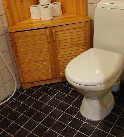 Levihaukka 10 * Levi