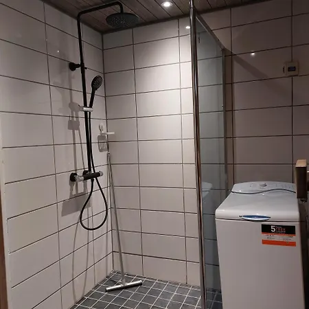 Levihaukka 10 * 레비