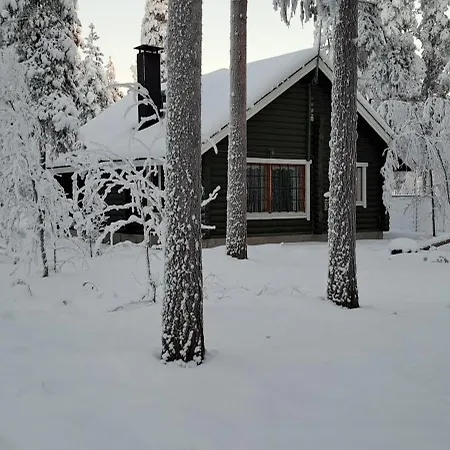 Levihaukka 10 * Levi