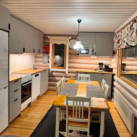 Levihaukka 10 레비