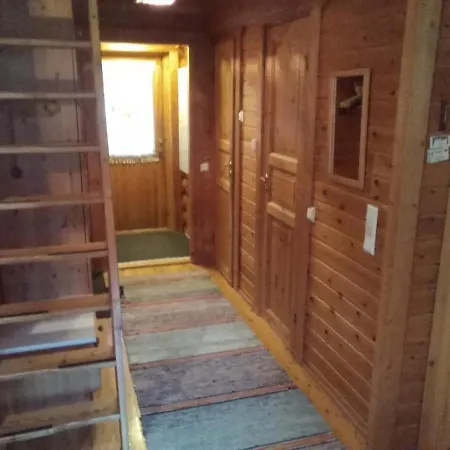 Levihaukka 10 * 列维