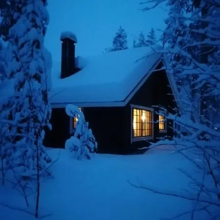 Levihaukka 10 * Levi