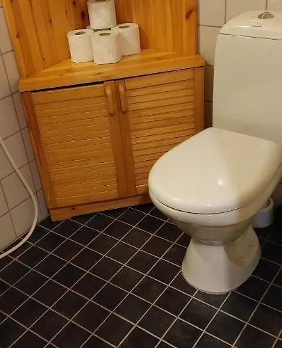 Levihaukka 10 * Levi