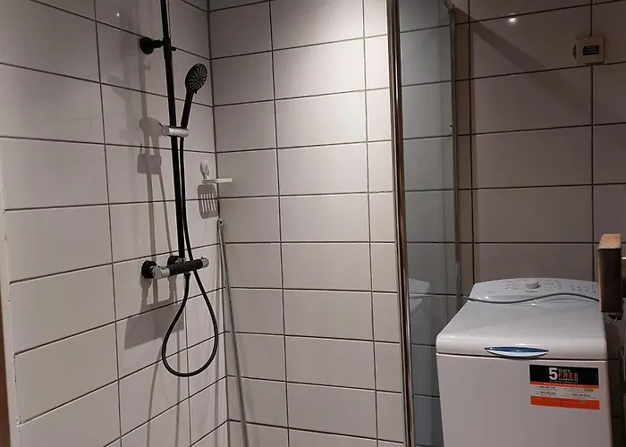 Levihaukka 10 * Levi