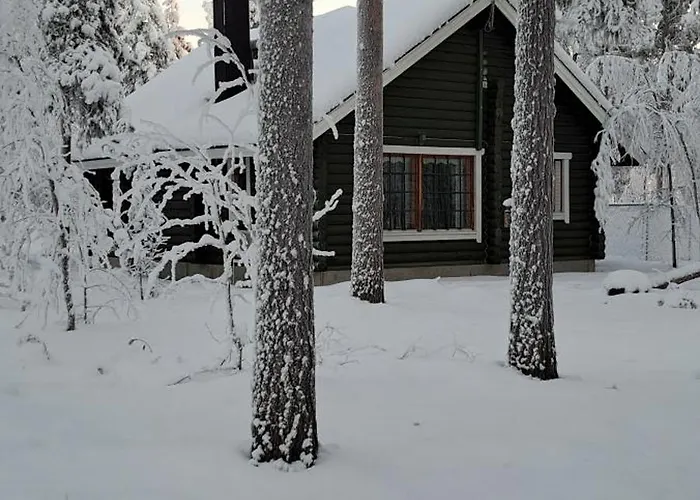 Levihaukka 10 * Levi