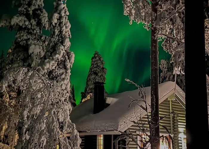 Chalet Levihaukka 10