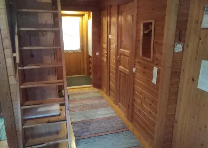 Levihaukka 10 * Levi