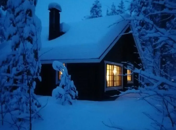 Levihaukka 10 * Levi